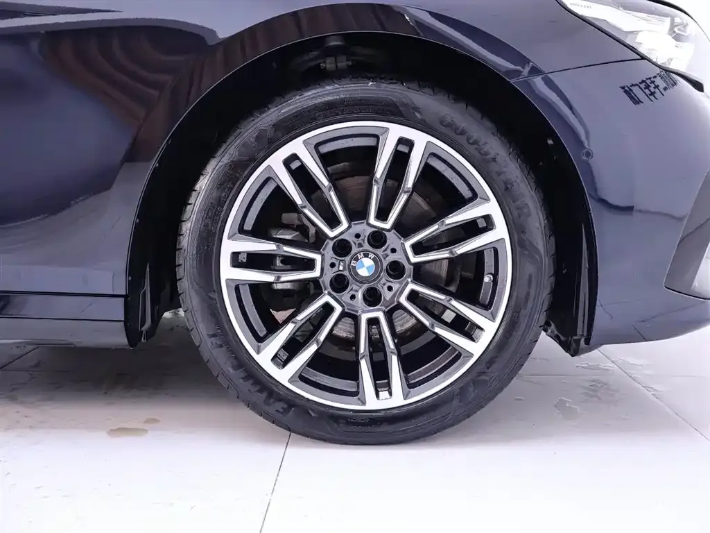 BMW 5 Series 2024 из CN, фото 7