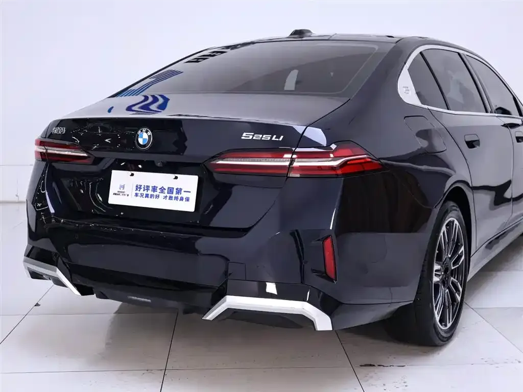 BMW 5 Series 2024 из CN, фото 6
