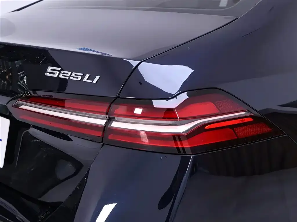 BMW 5 Series 2024 из CN, фото 4
