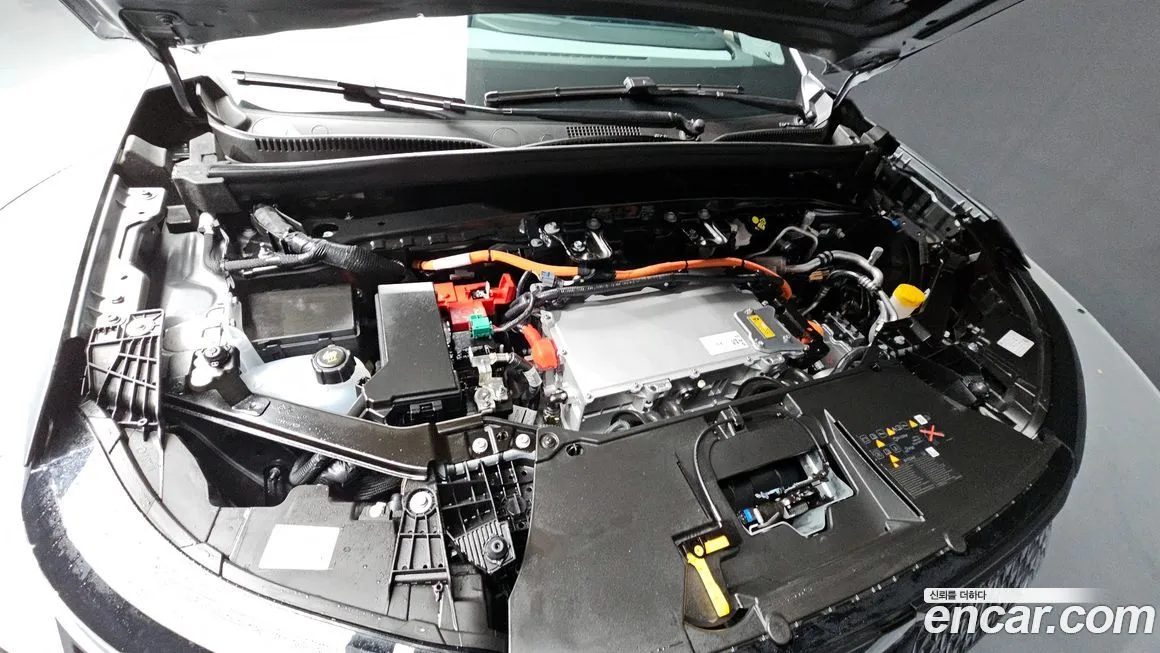 Renault Korea (Samsung) Scenic 2026 из KR, фото 7