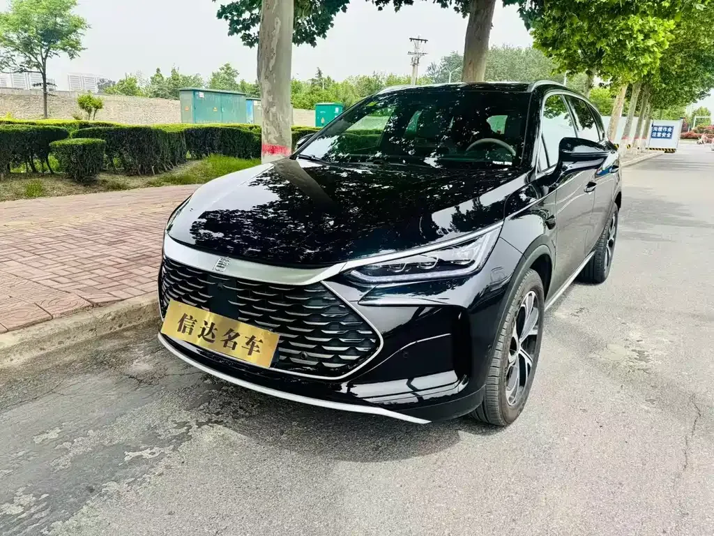 BYD Tang New Energy — фото 1