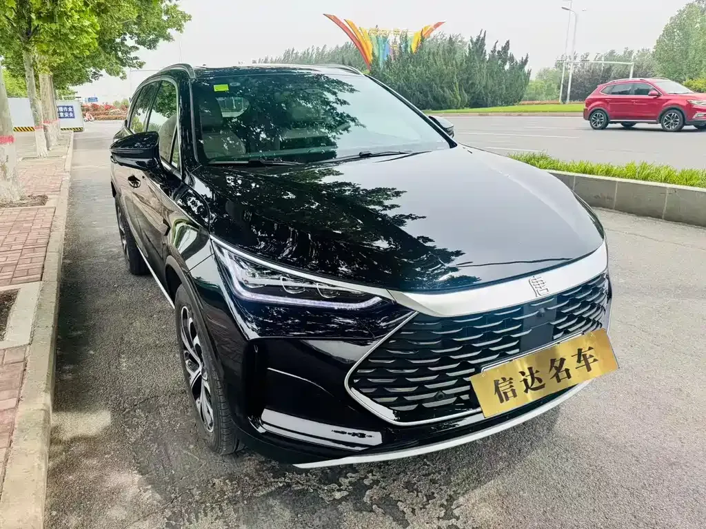 BYD Tang New Energy — фото 8