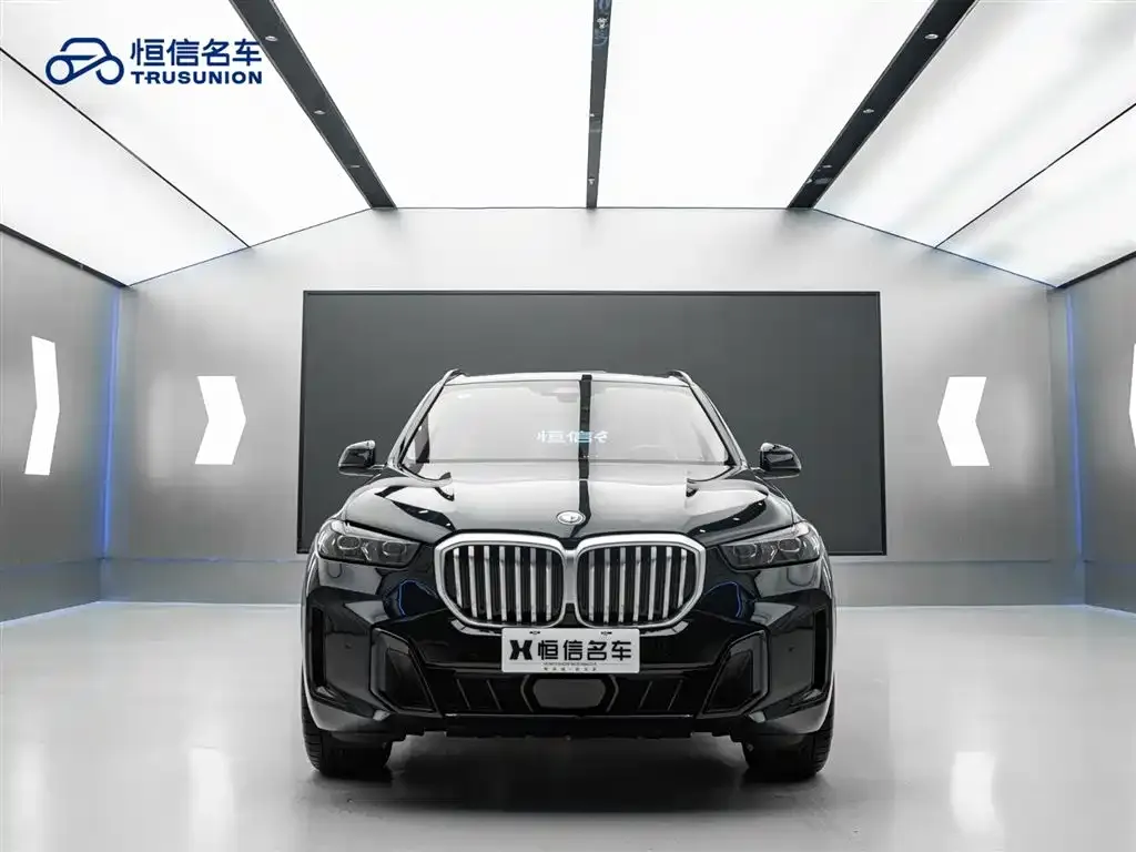 BMW X5 — фото 9