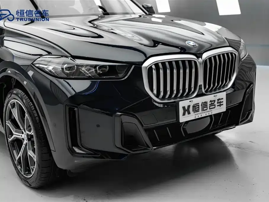 BMW X5 — фото 8