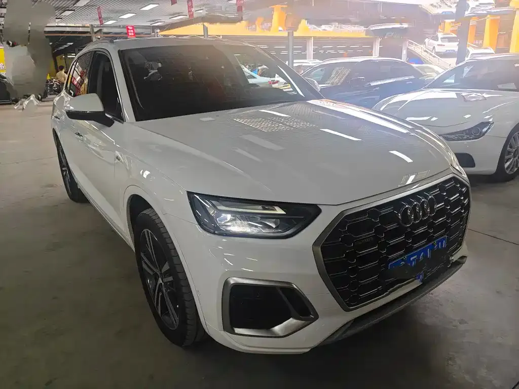 Audi Q5L 2023 из CN, фото 6