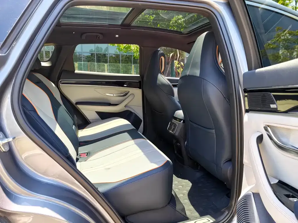 BYD PLUS New Energy 2021 из CN, фото 10