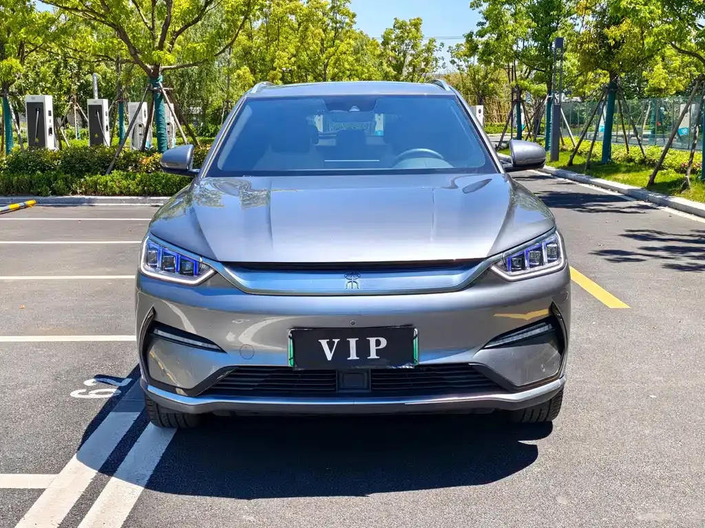 BYD PLUS New Energy 2021 из CN, фото 6