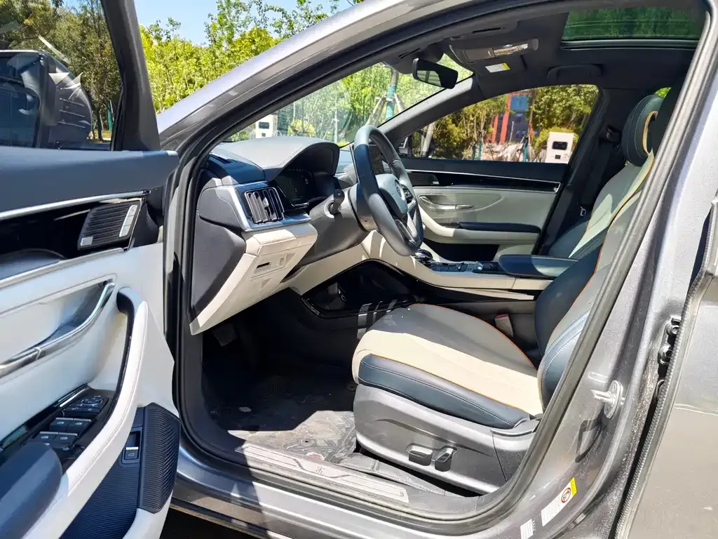 BYD PLUS New Energy 2021 из CN, фото 3
