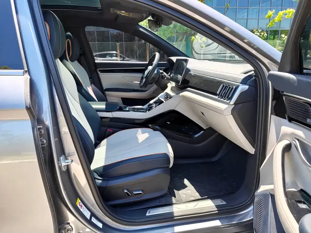 BYD PLUS New Energy 2021 из CN, фото 2
