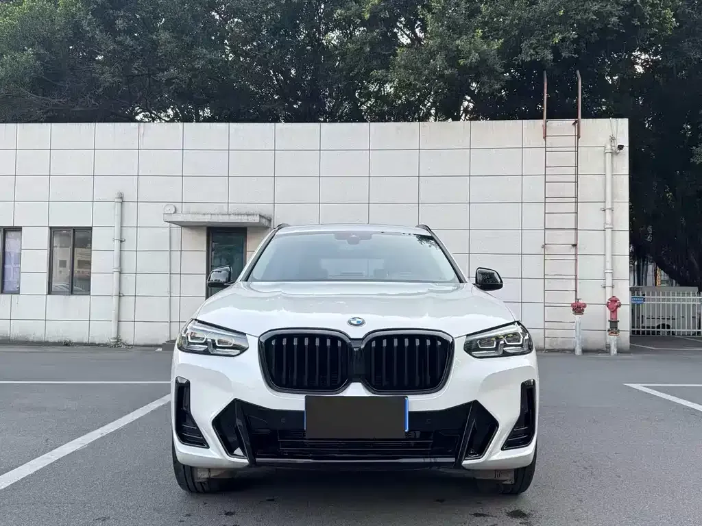 BMW X3 2022 из CN, фото 9