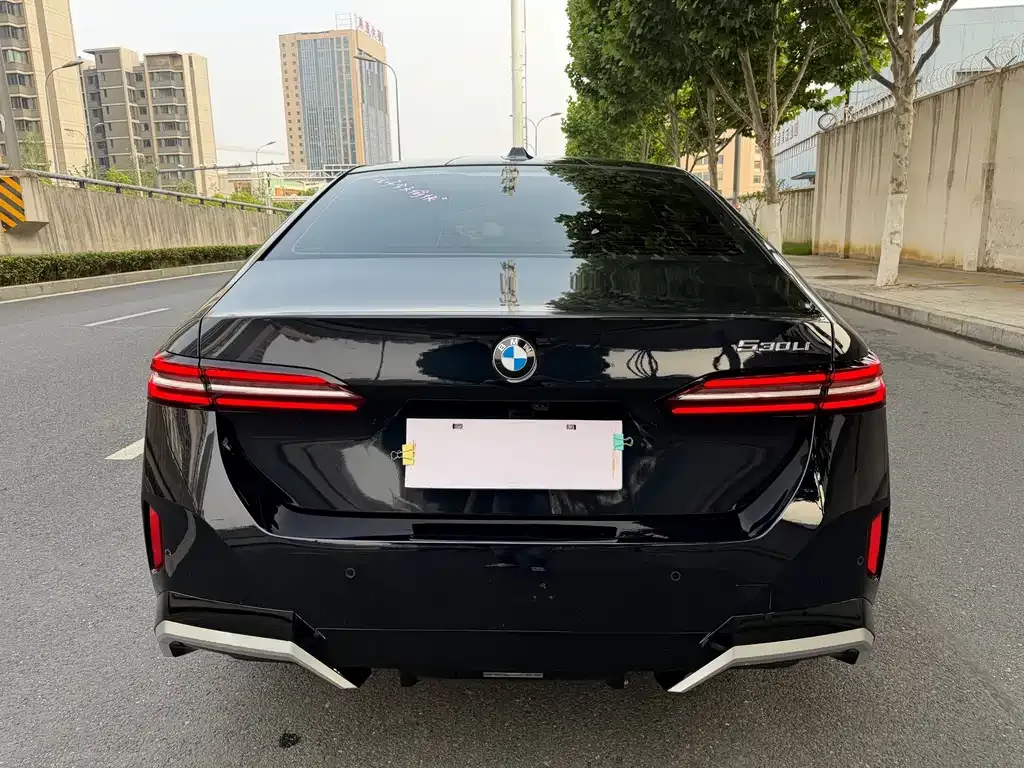 BMW 5 Series 2025 из CN, фото 6