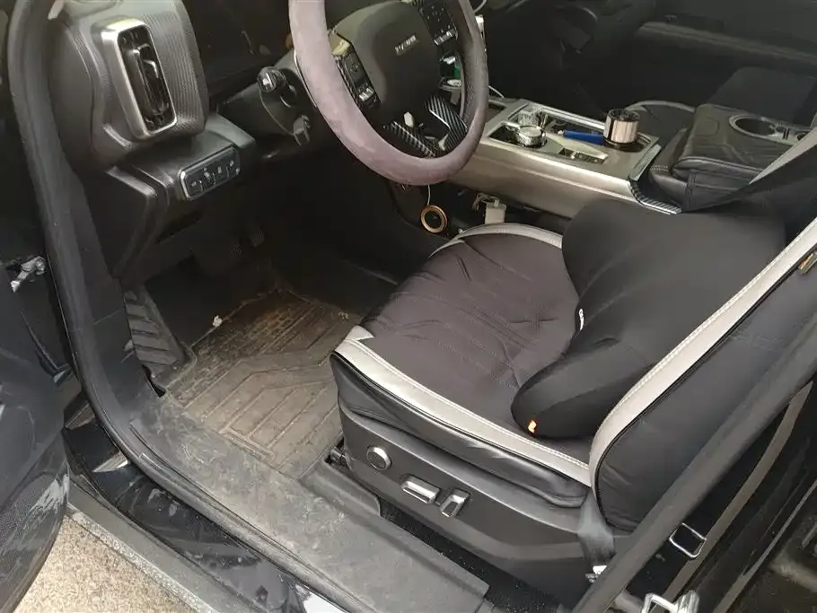 Haval Big Dog 2024 из CN, фото 9