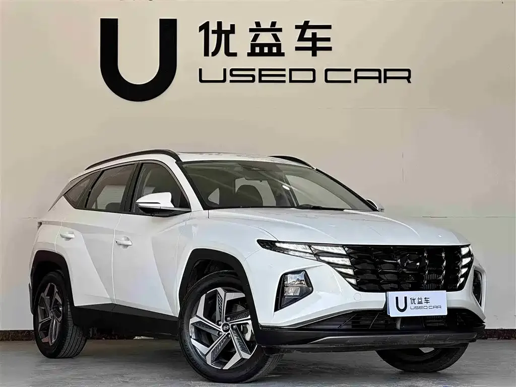 Hyundai Tucson 2023 из CN, фото 6