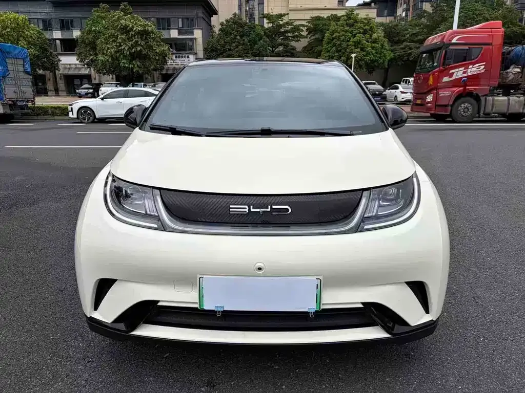 BYD Dolphin 2024 из CN, фото 4