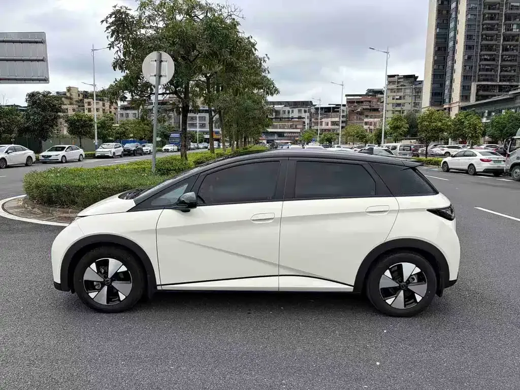 BYD Dolphin 2024 из CN, фото 5
