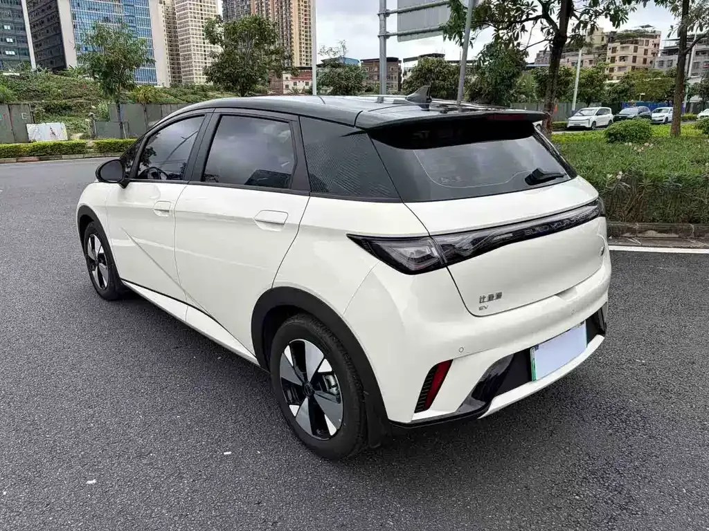 BYD Dolphin 2024 из CN, фото 8
