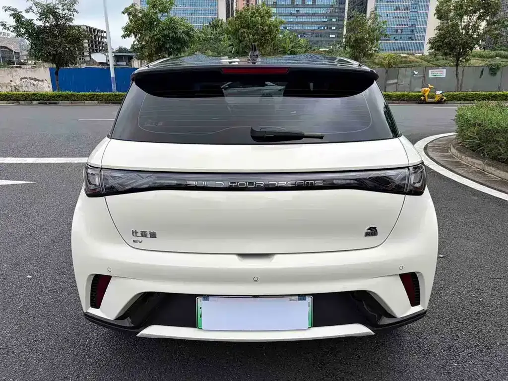BYD Dolphin 2024 из CN, фото 9