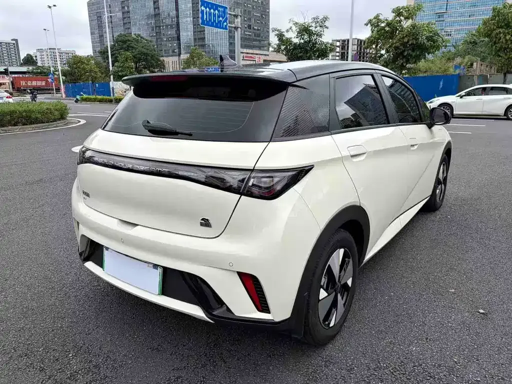 BYD Dolphin 2024 из CN, фото 7