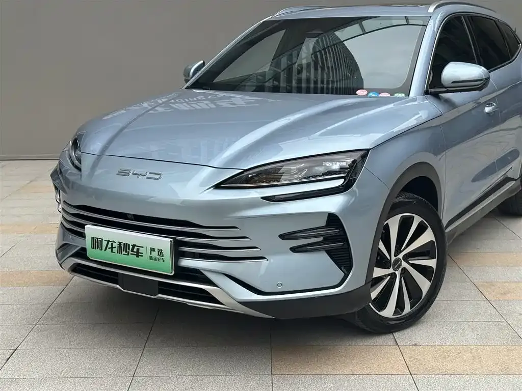 BYD PLUS New Energy 2024 из CN, фото 6
