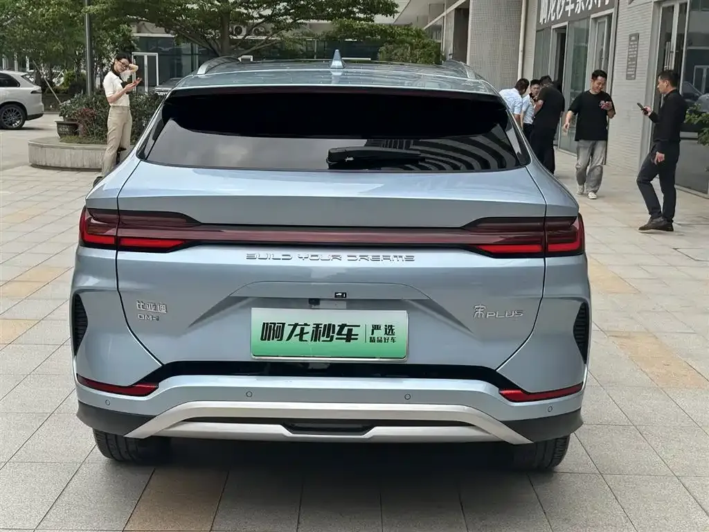 BYD PLUS New Energy 2024 из CN, фото 5