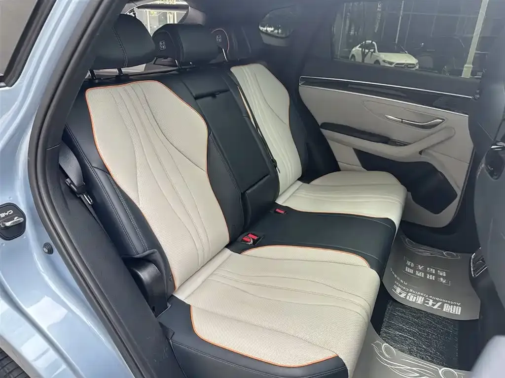 BYD PLUS New Energy 2024 из CN, фото 2