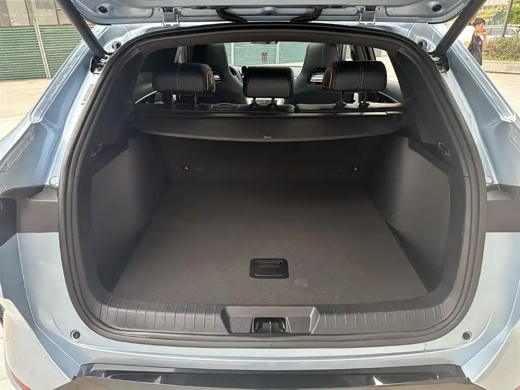 BYD PLUS New Energy 2024 из CN, фото 3