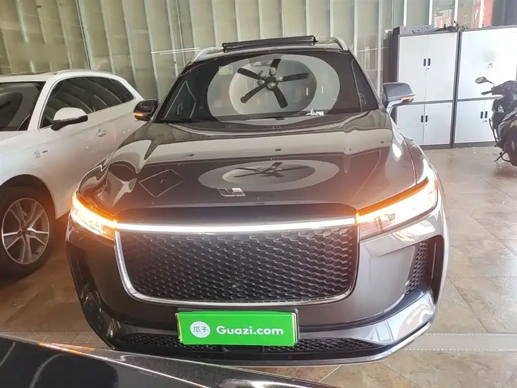 Li Auto ONE 2021 из CN, фото 5