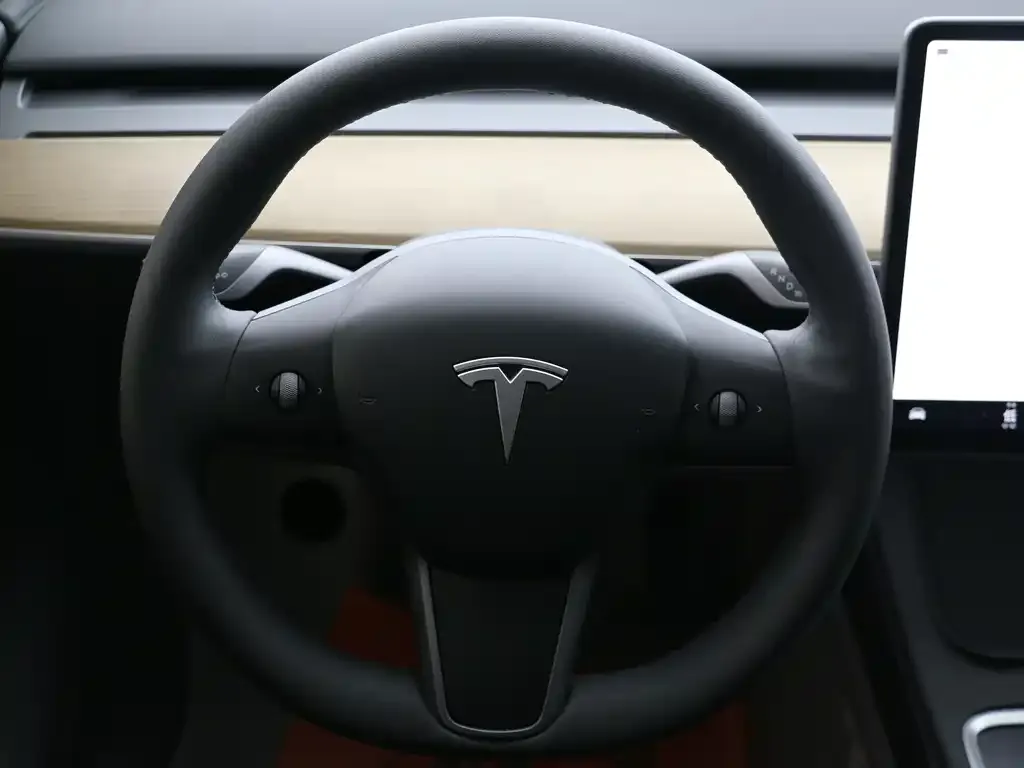 Tesla Model Y 2023 из CN, фото 8