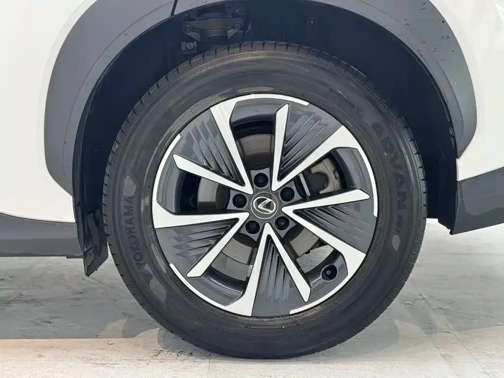 Lexus RZ 2023 из CN, фото 7