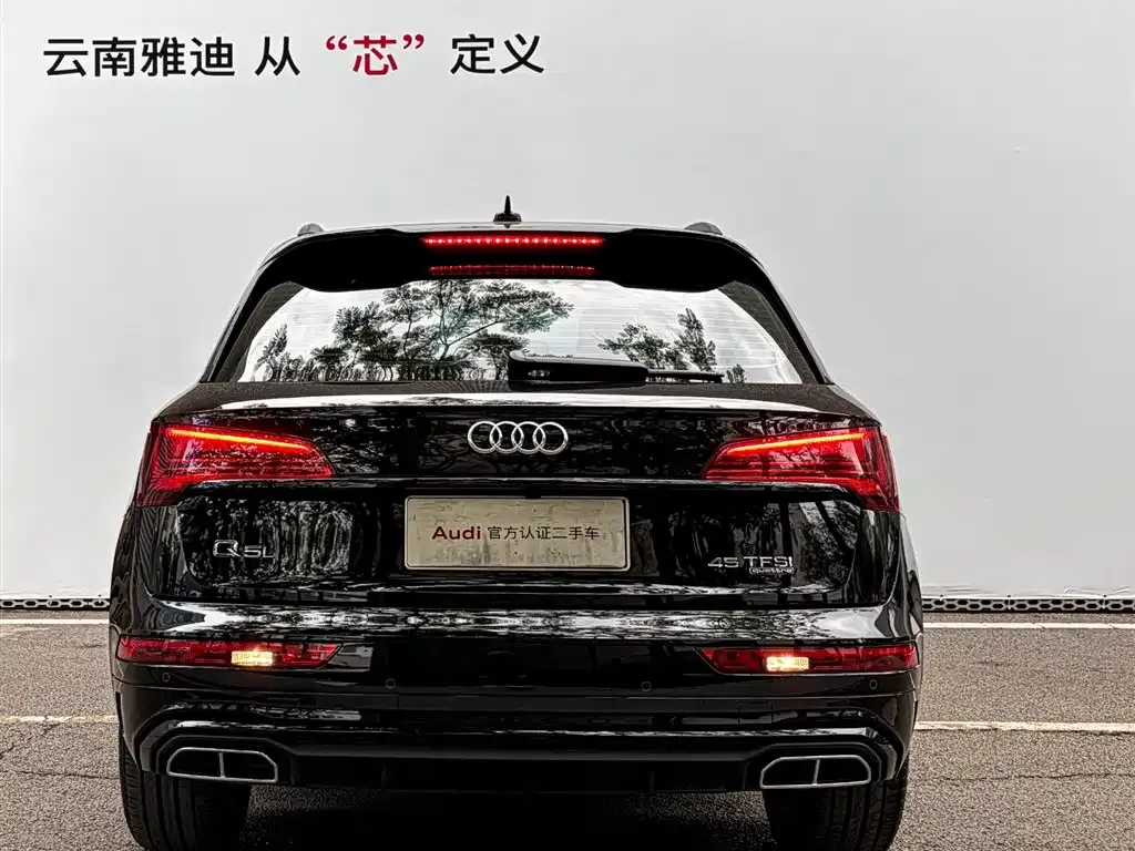 Audi Q5L 2024 из CN, фото 9