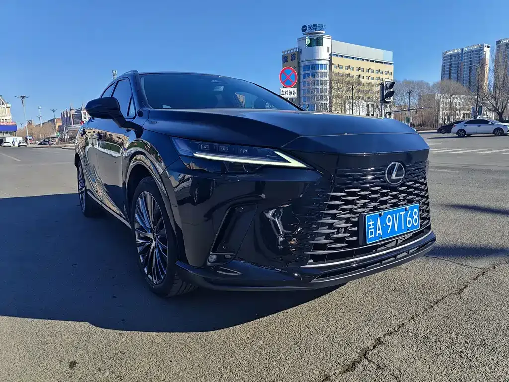 Lexus RX — фото 1