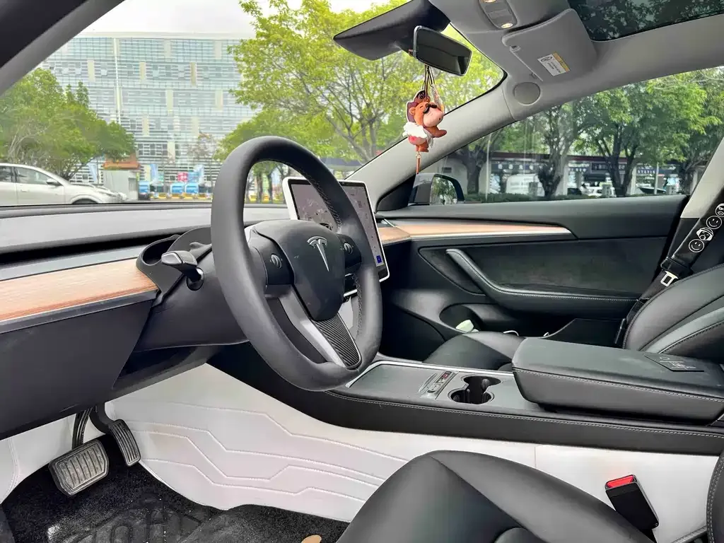 Tesla Model 3 2023 из CN, фото 6
