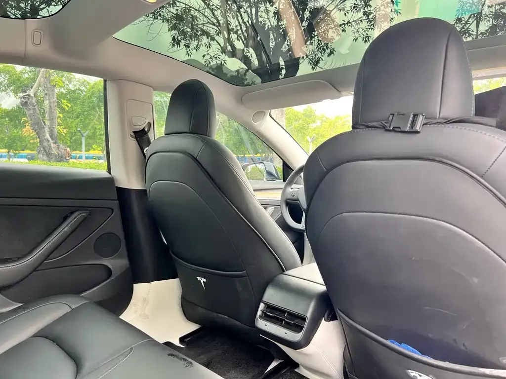 Tesla Model 3 2023 из CN, фото 3