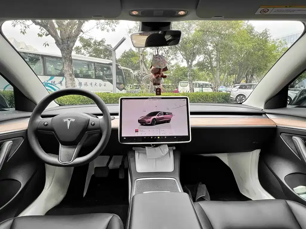 Tesla Model 3 2023 из CN, фото 5
