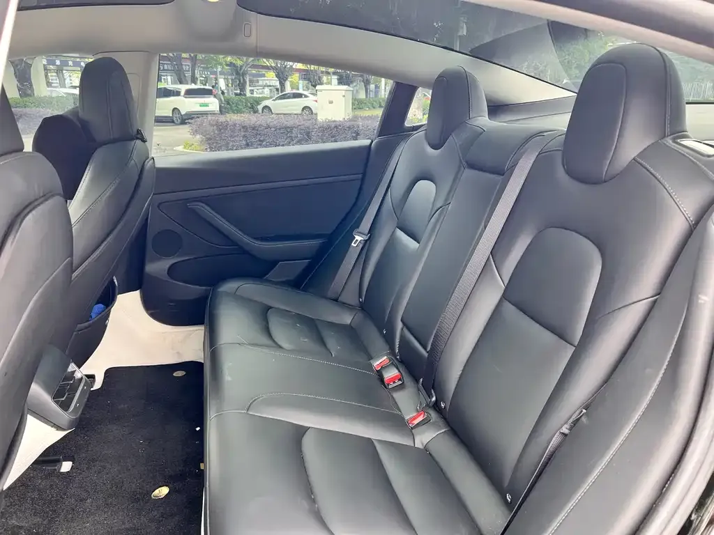 Tesla Model 3 2023 из CN, фото 4