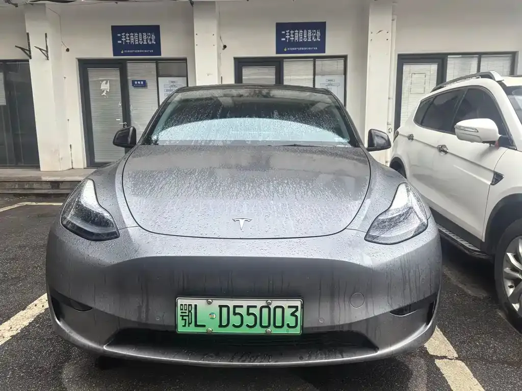 Tesla Model Y 2024 из CN, фото 1