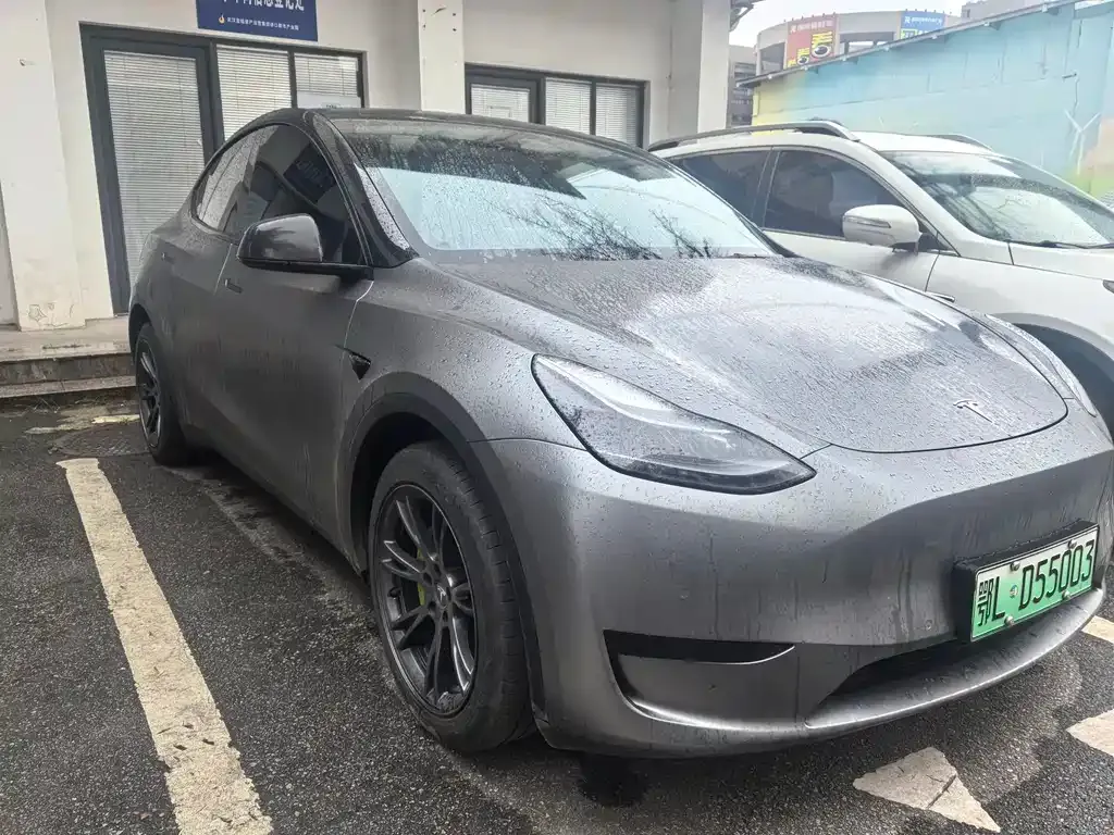 Tesla Model Y 2024 из CN, фото 6