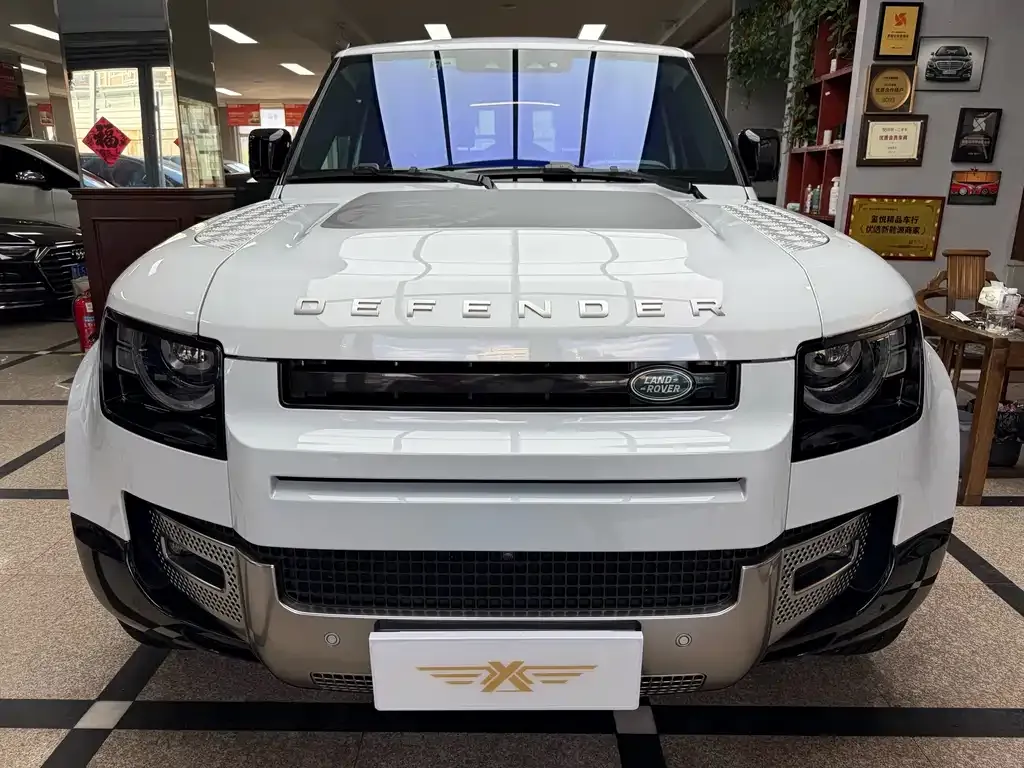 Land Rover Defender 2022 из CN, фото 4