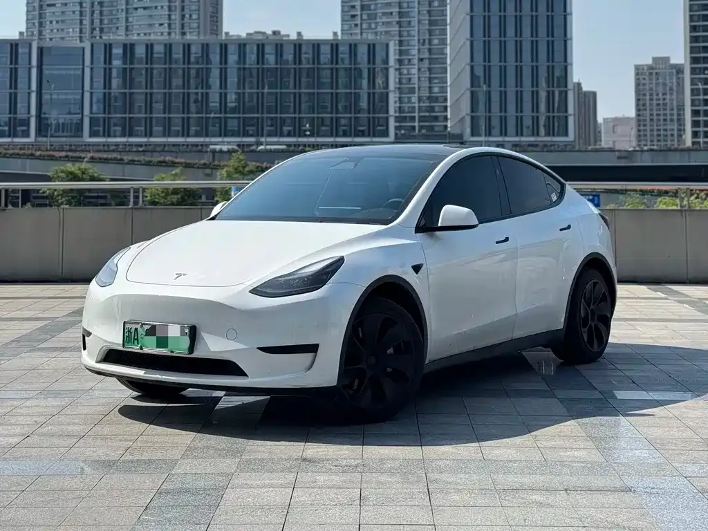 Tesla Model Y — фото 1