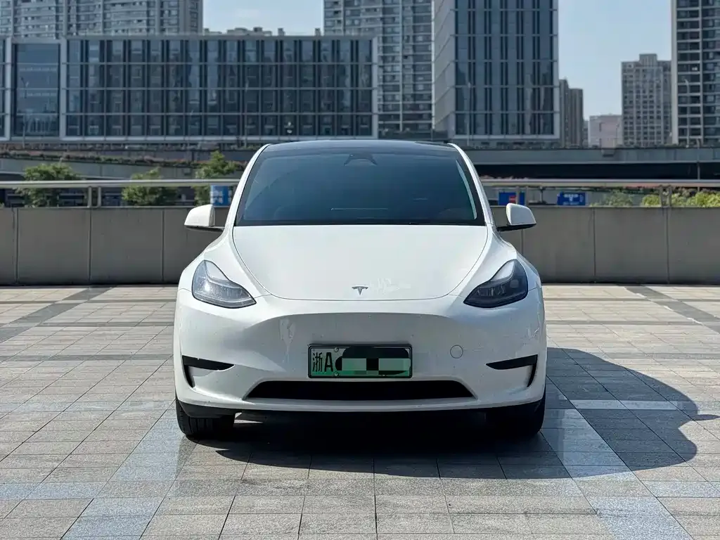 Tesla Model Y — фото 8