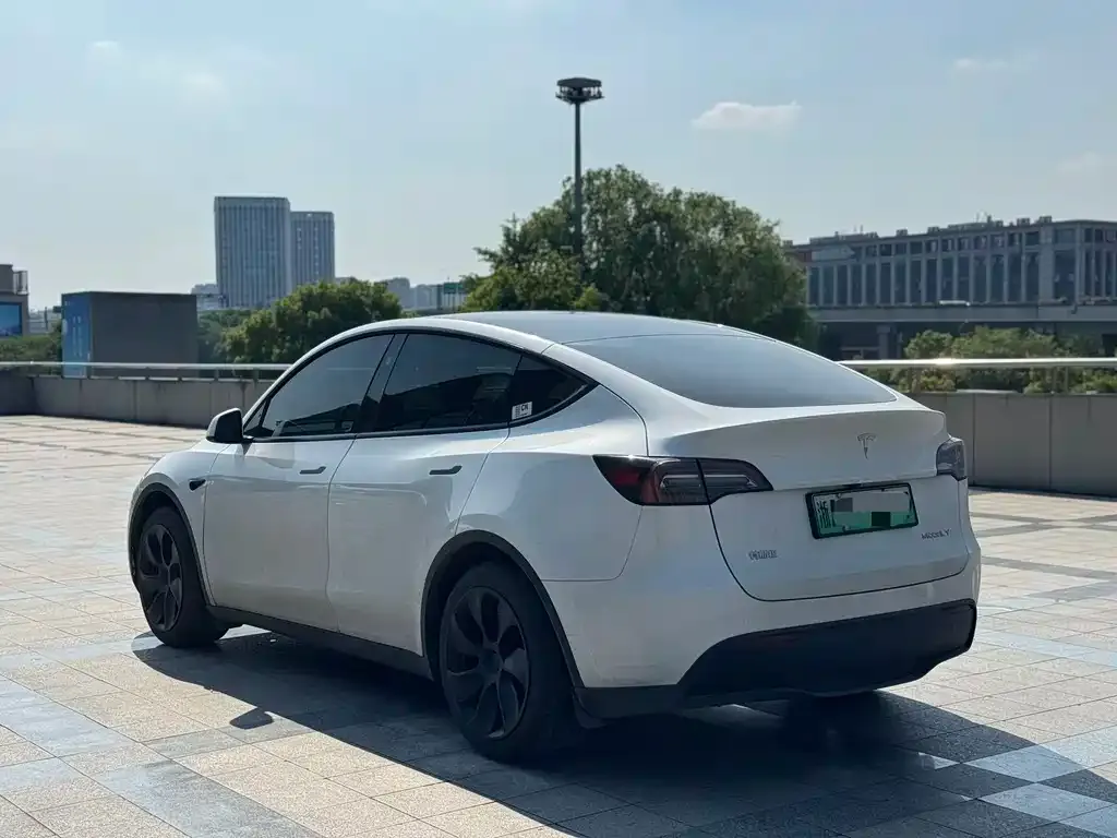 Tesla Model Y — фото 6