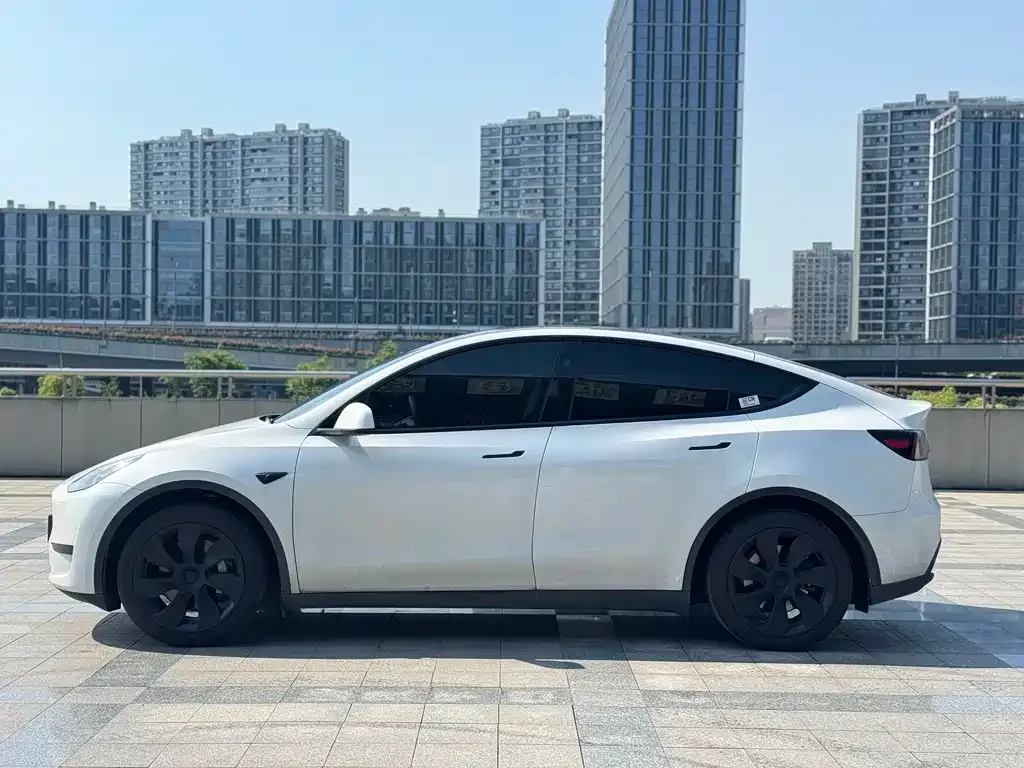 Tesla Model Y — фото 10