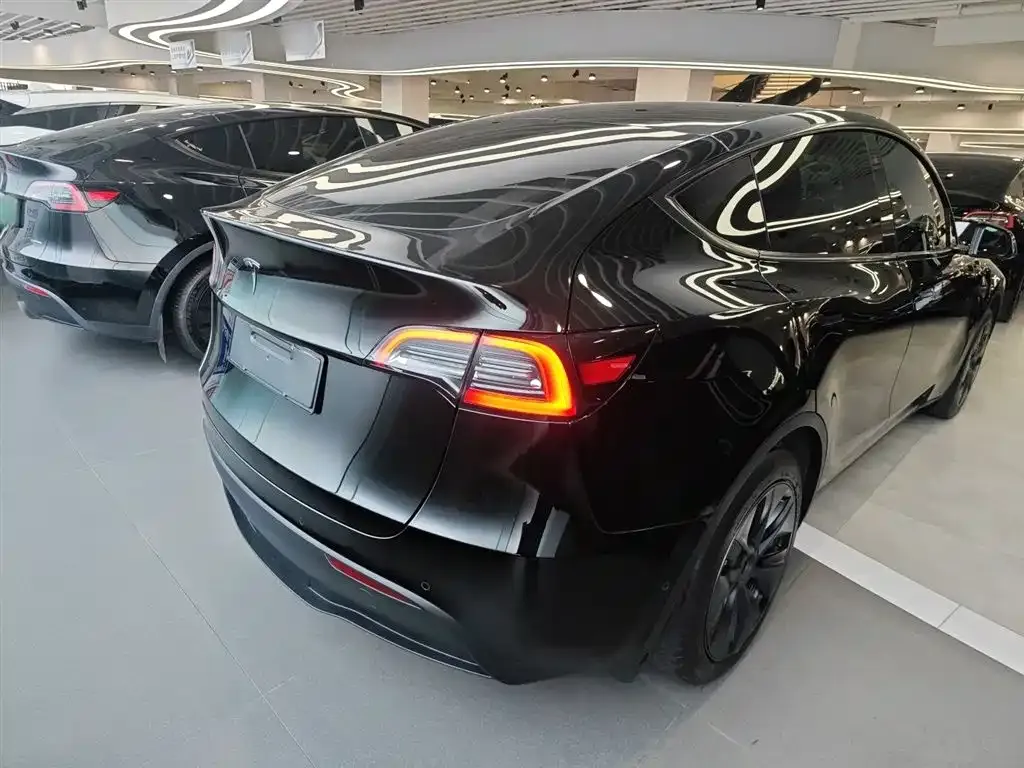 Tesla Model Y 2024 из CN, фото 9