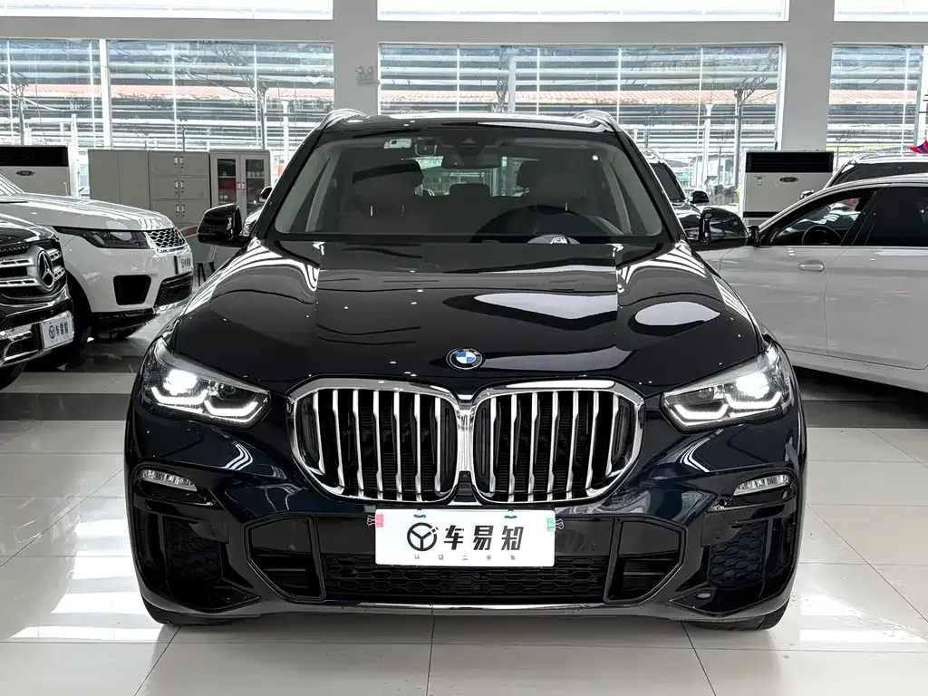 BMW X5 (Import) 2021 из CN, фото 2