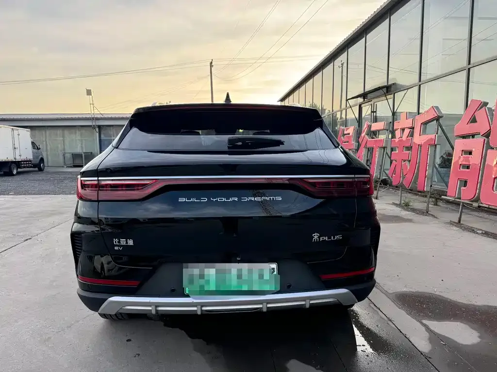 BYD PLUS New Energy 2022 из CN, фото 8