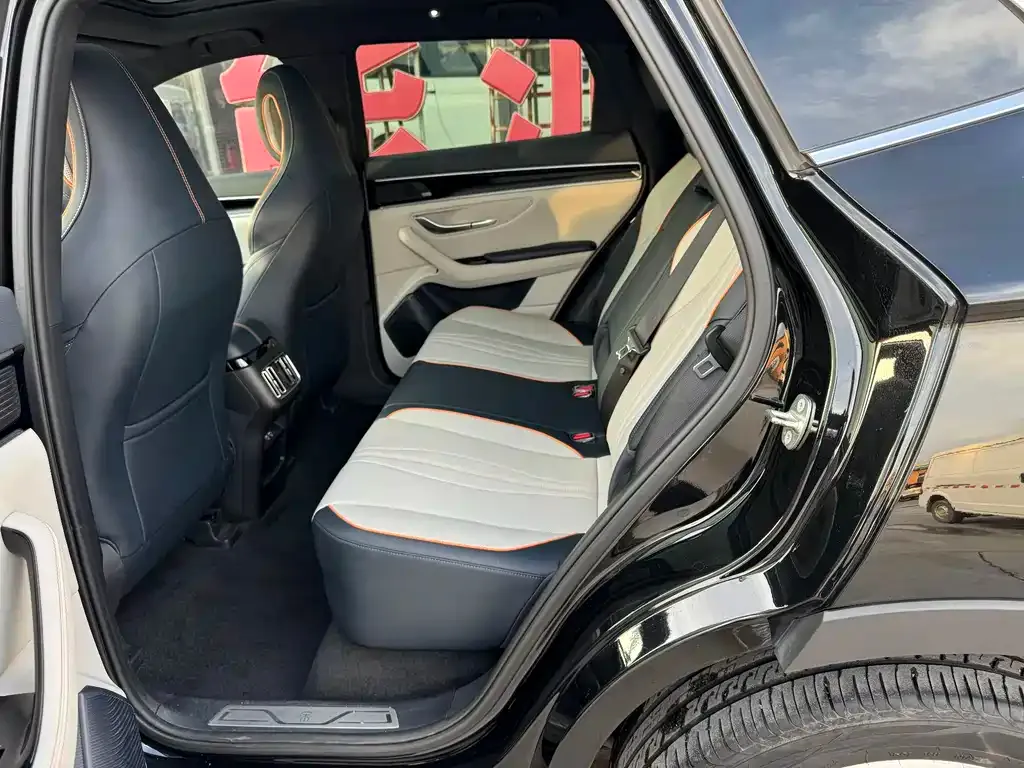BYD PLUS New Energy 2022 из CN, фото 6