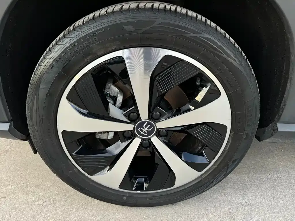 BYD PLUS New Energy 2022 из CN, фото 7