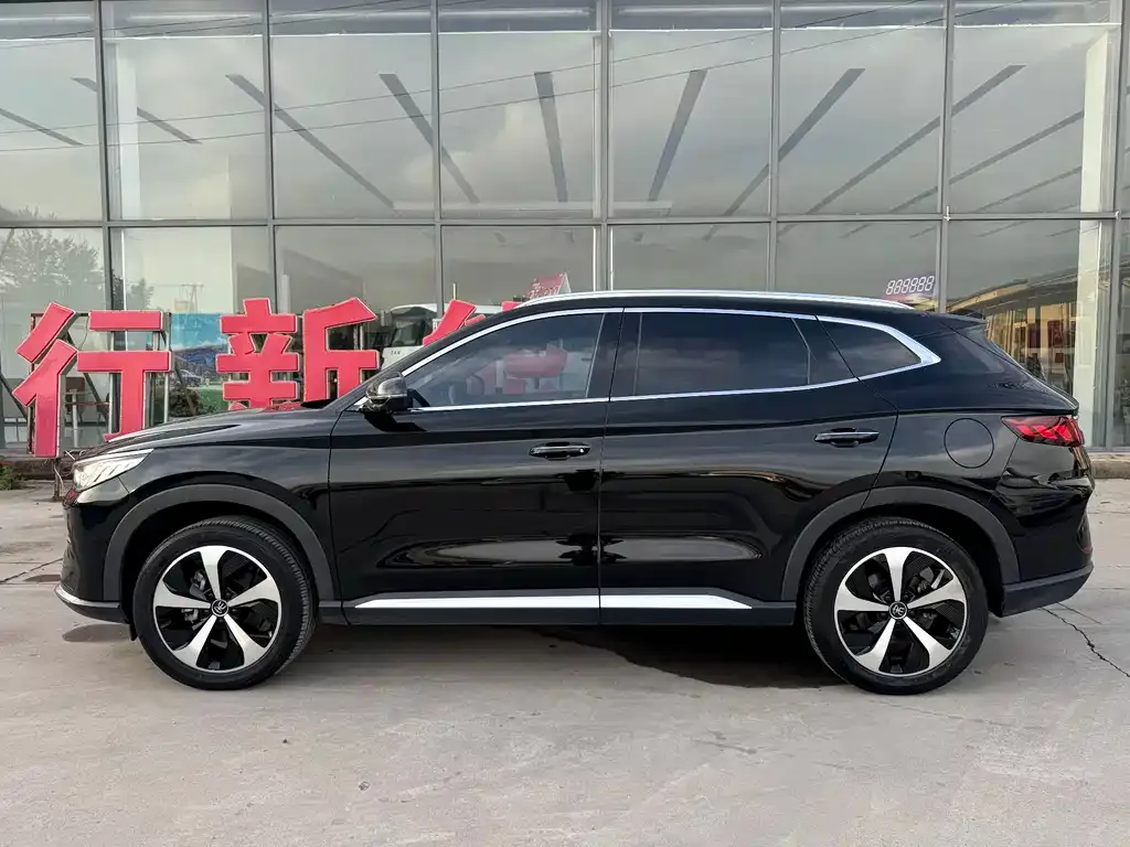 BYD PLUS New Energy 2022 из CN, фото 4