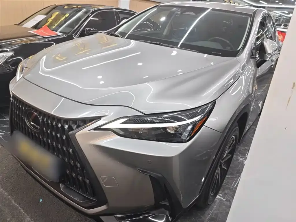 Lexus NX — фото 6