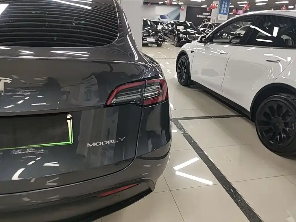 Tesla Model Y — фото 3